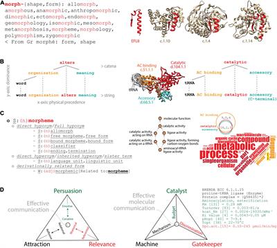 The Compressed Vocabulary of <mark class="highlighted">Microbial Life</mark>